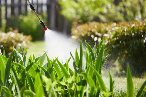 24/7 Emergency Termite Control experts in Riesel, TX